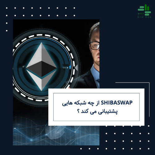 Shibaswap از چه شبکه‌ هایی پشتیبانی می‌ کند ؟